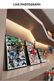 Luffy/Zoro/Sanji decorated hand made three-dimensional painting