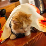 Kamado Tanjirou/Agatsuma Zenitsu COS Pet COS photo props supplies cat clothes universal feather woven bathrobe